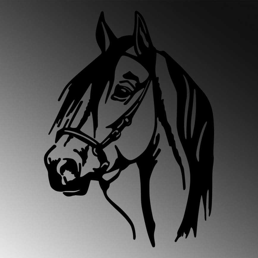 Decoración de pared 55x40 cm caballo metal