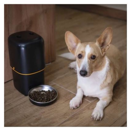 Dispensador automático de alimentos 4 l/5V/3xD negro Wi-Fi