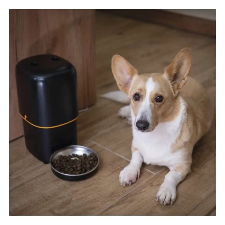 Dispensador automático de alimentos 4 l/5V/3xD negro Wi-Fi