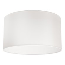 Duolla - Lámpara de techo DORSET 1xE27/40W/230V blanco