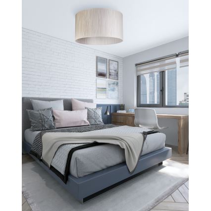 Duolla - Plafón ESSEX 1xE27/40W/230V diá. 45 cm plata