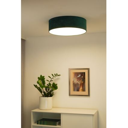Duolla - Plafón LED CORTINA LED/26W/230V diá. 30 cm 4000K verde