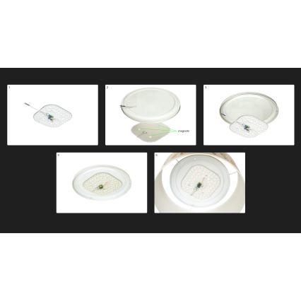 Duolla - Plafón LED CORTINA LED/26W/230V diá. 30 cm 4000K verde