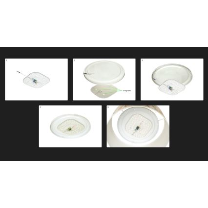 Duolla - Plafón LED LUNETA LED/26W/230V diá. 60 cm 4000K Verde/dorado