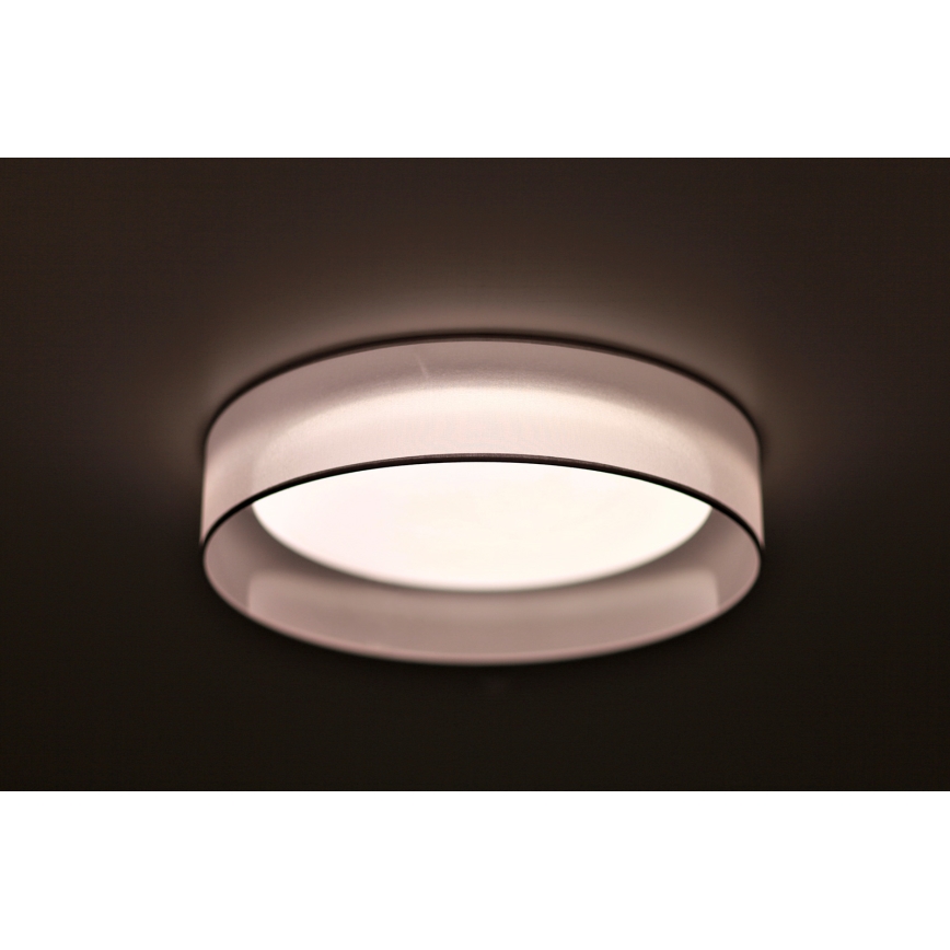 Duolla - Plafón LED ROLLER LED/24W/230V d. 45 cm gris claro