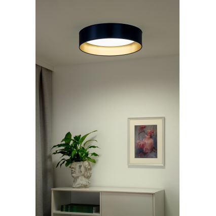 Duolla - Plafón LED ROLLER LED/24W/230V diá. 45 cm azul/dorado