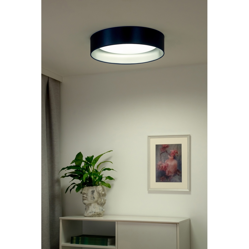 Duolla - Plafón LED ROLLER LED/24W/230V diá. 45 cm azul/plata