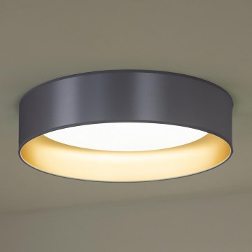 Duolla - Plafón LED ROLLER LED/24W/230V diá. 45 cm plata/dorado