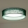Duolla - Plafón LED ROLLER LED/24W/230V diá. 45 cm Verde