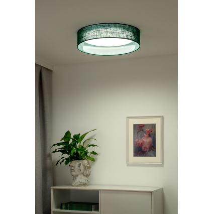 Duolla - Plafón LED ROLLER LED/24W/230V diá. 45 cm Verde