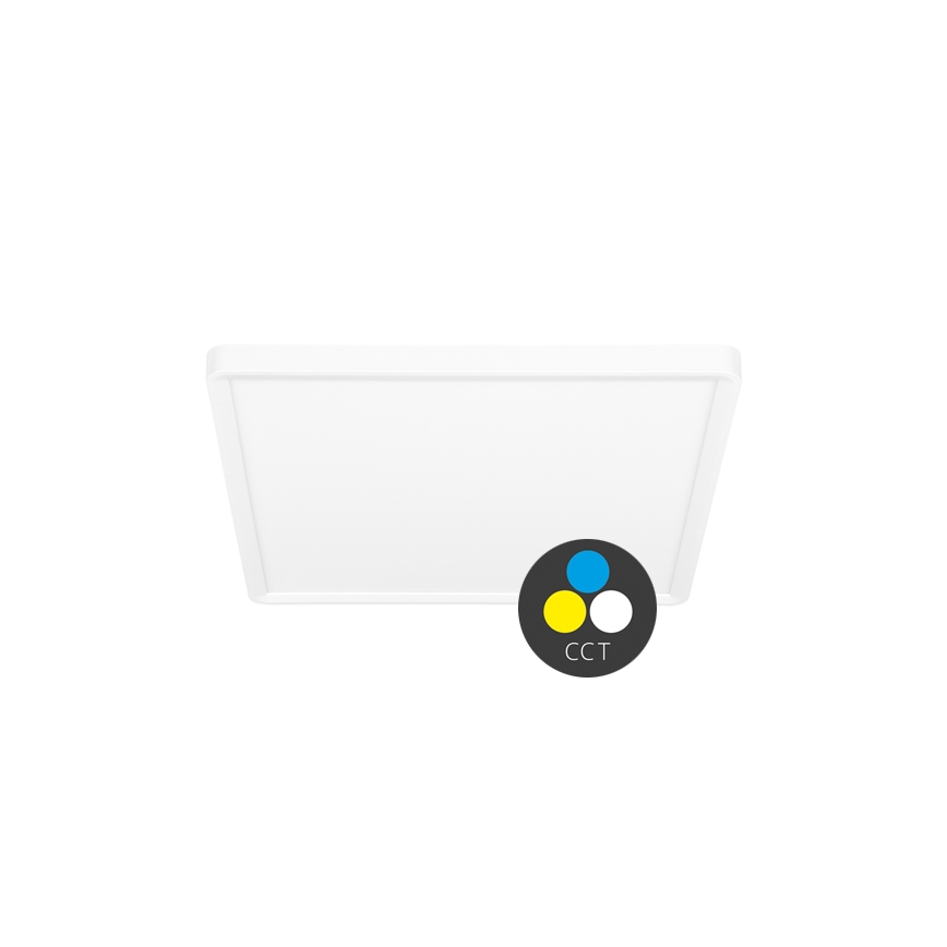 Plafón LED TERY LED/24W/230V 3000/4000/6000K 30x30 cm IP40 blanco