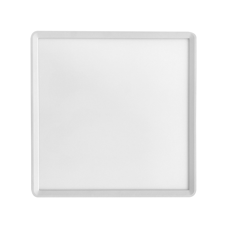 Plafón LED TERY LED/40W/230V 3000/4000/6000K 50x50 cm IP40 blanco