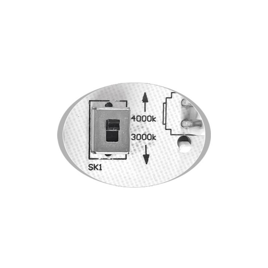 Plafón LED de exterior MARTIN LED/25W/230V 3000/4000K diá. 35 cm IP65 blanco