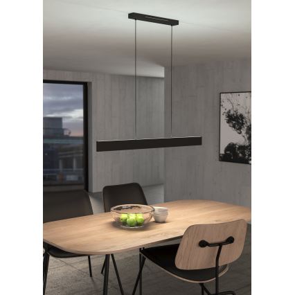 Eglo 31433 - LED RGBW Lámpara colgante regulable ANDREAS-Z LED/38W/230V 2700-6500K negro
