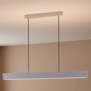Eglo 31436 - LED RGBW Lámpara colgante regulable ANDREAS-Z LED/38W/230V 2700-6500K blanco