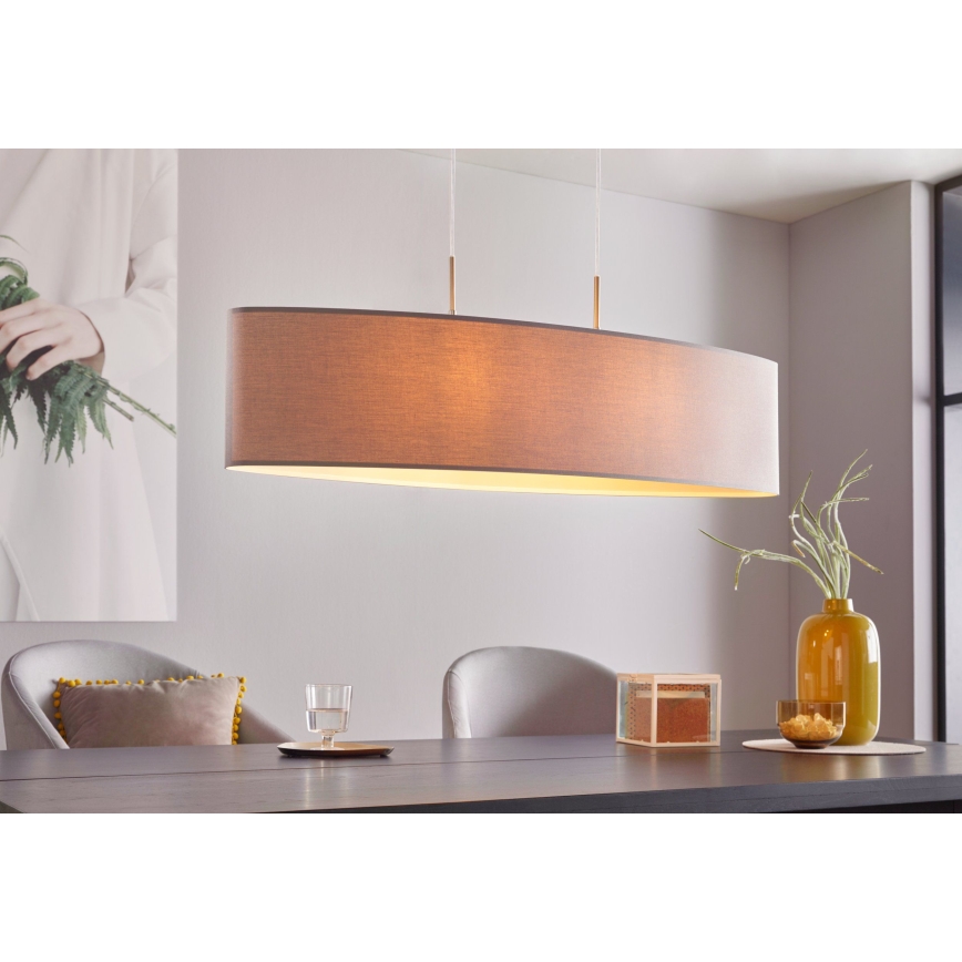 Eglo 31587 - Lámpara colgante PASTERI 2xE27/60W/230V