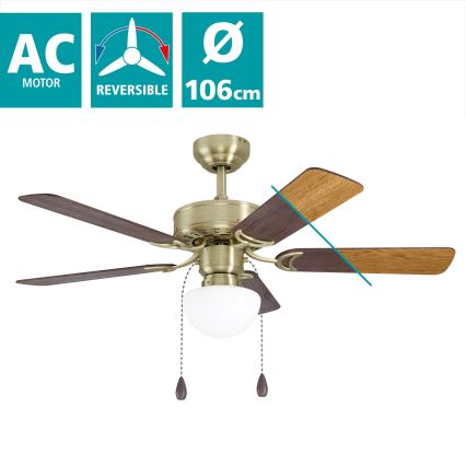 Eglo - Ventilador de techo 1xE27/40W/230V