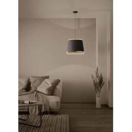 Eglo - Lámpara colgante 1xE27/40W/230V negro