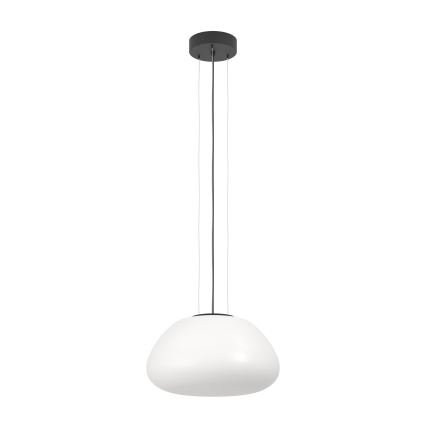 Eglo - Lámpara colgante 1xE27/40W/230V negro