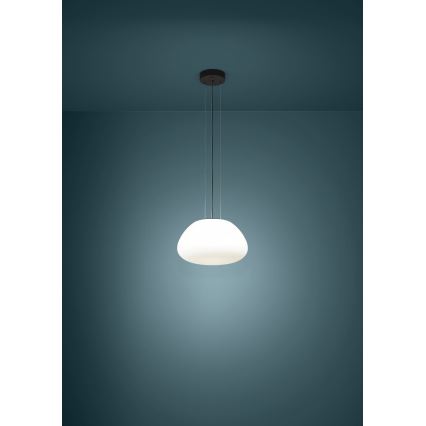 Eglo - Lámpara colgante 1xE27/40W/230V negro