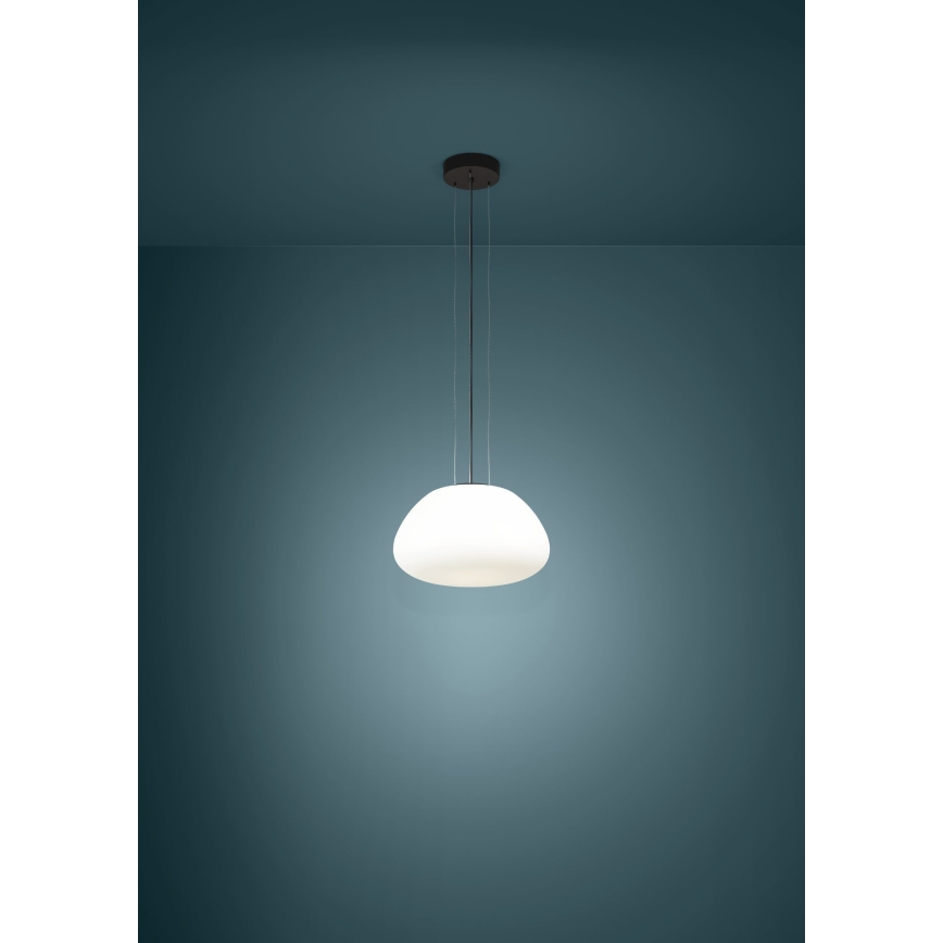 Eglo - Lámpara colgante 1xE27/40W/230V negro