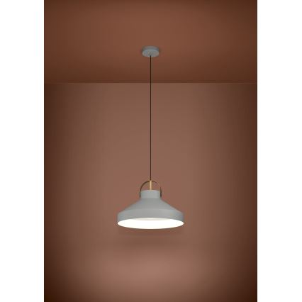 Eglo - Lámpara colgante 1xE27/40W/230V gris