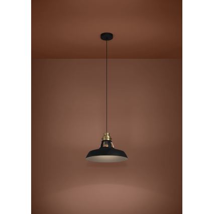 Eglo - Lámpara colgante 1xE27/40W/230V negro/dorado