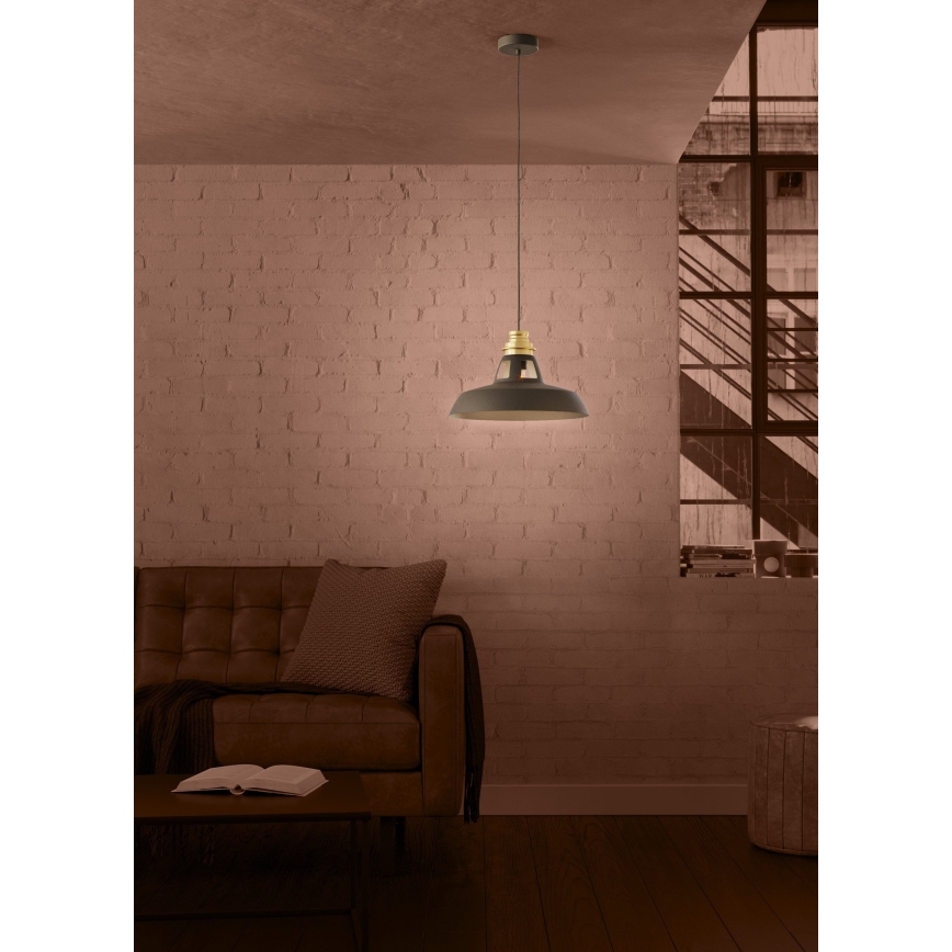 Eglo - Lámpara colgante 1xE27/40W/230V negro/dorado