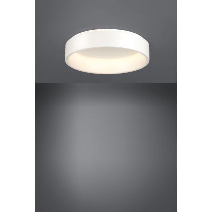 Eglo - Plafón LED regulable 1 LED/35,2W/230V