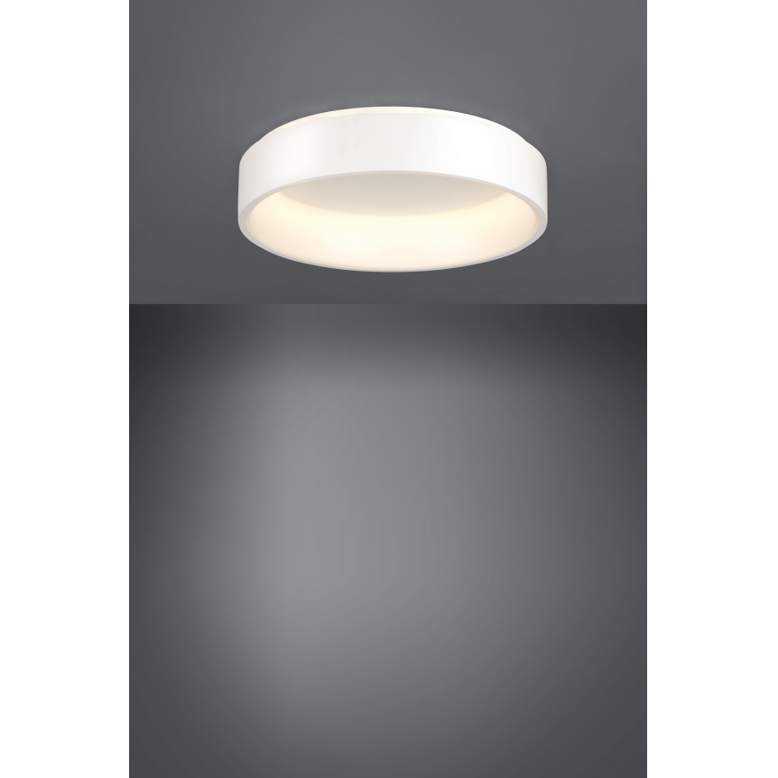 Eglo - Plafón LED regulable 1 LED/35,2W/230V
