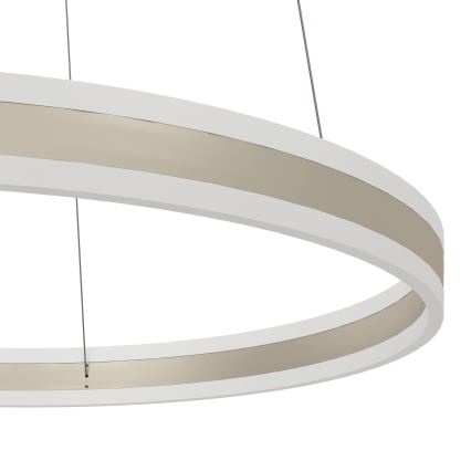 Eglo - LED Lámpara colgante regulable LED/78W/230V