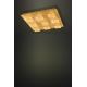 Eglo - LED Lámpara regulable 4xLED/5,4W/230V + 9xLED/4,5W