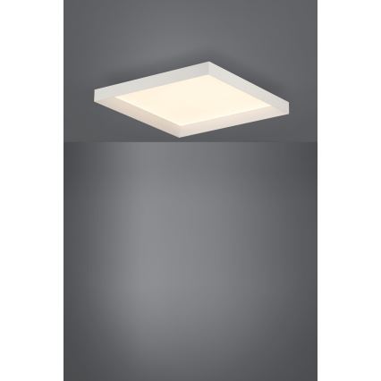 Eglo - LED Plafón regulable LED/27W/230V + control remoto