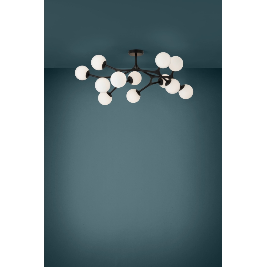 Eglo - Lámpara de araña de luces LED de superficie 12xG9/3W/230V