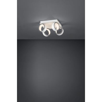 Eglo 39587 - Foco LED ALBARIZA 4xLED/4,6W/230V