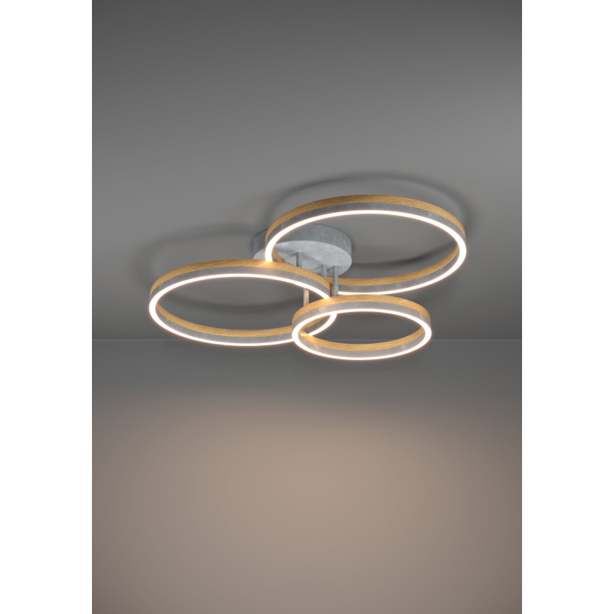 Eglo - Lámpara de techo LED regulable LED/12,5W/230V + 2xLED/15,5W 3000K gris/roble