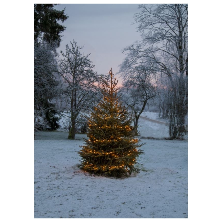 Eglo - Cadena navideña LED para exteriores 1200xLED 24m IP44 blanco cálido