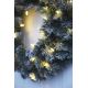 Eglo - Corona de Navidad LED de exterior 30xLED/0,064W/3/230V IP44