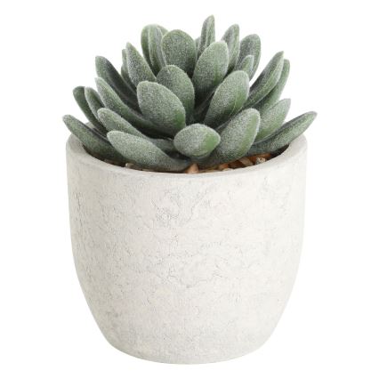 Eglo - Planta artificial en una maceta 11x8 cm suculento