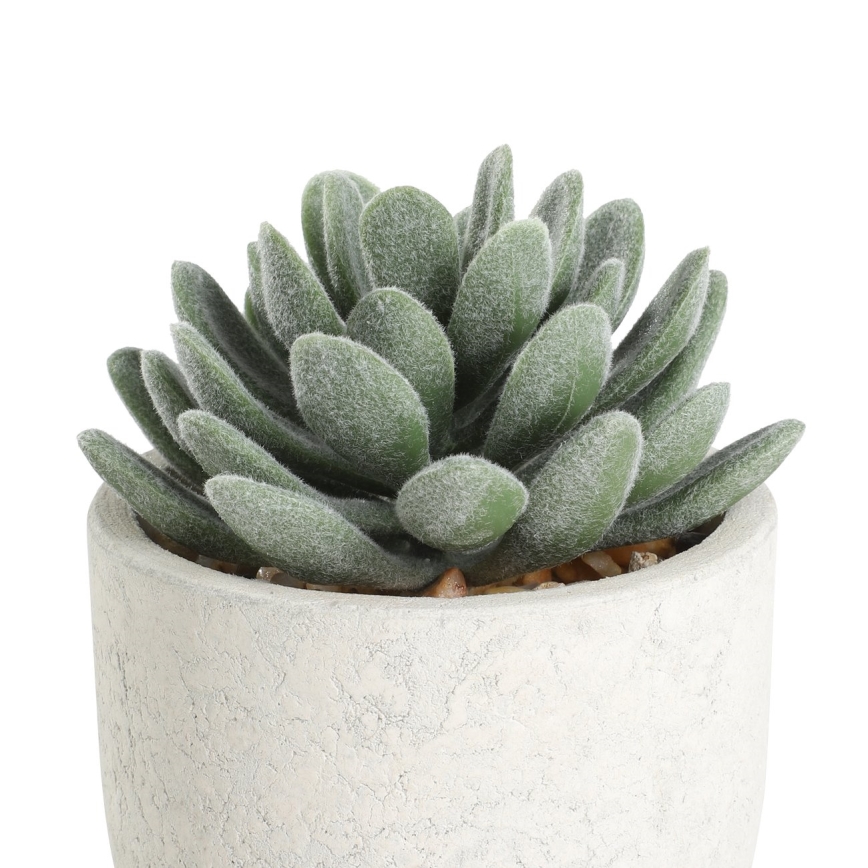 Eglo - Planta artificial en una maceta 11x8 cm suculento