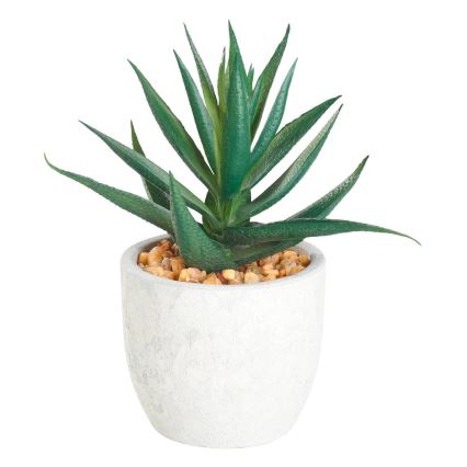 Eglo - Planta artificial en una maceta 15,5x10 cm suculento