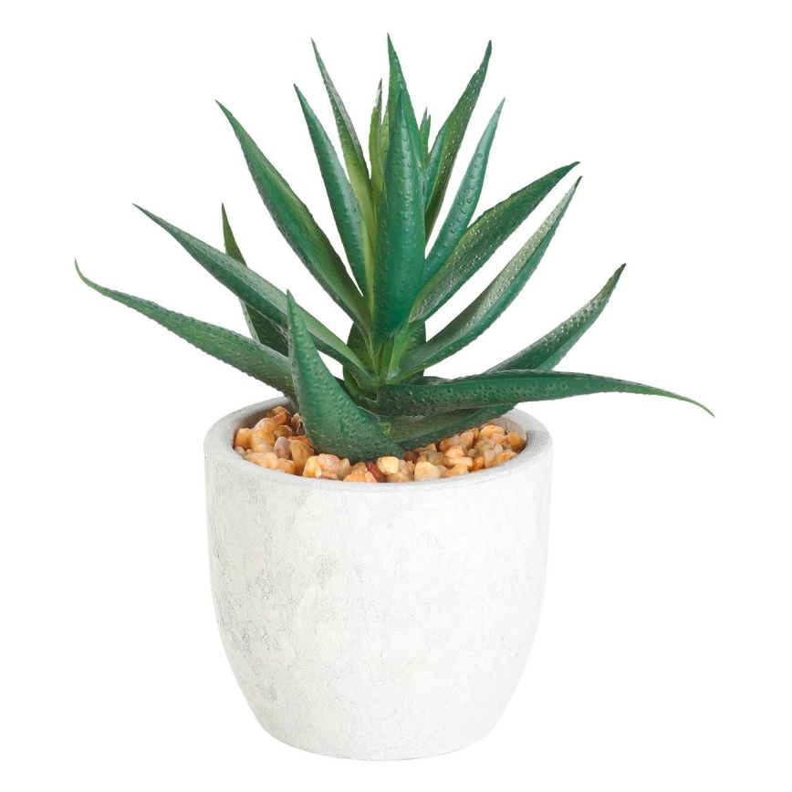 Eglo - Planta artificial en una maceta 15,5x10 cm suculento