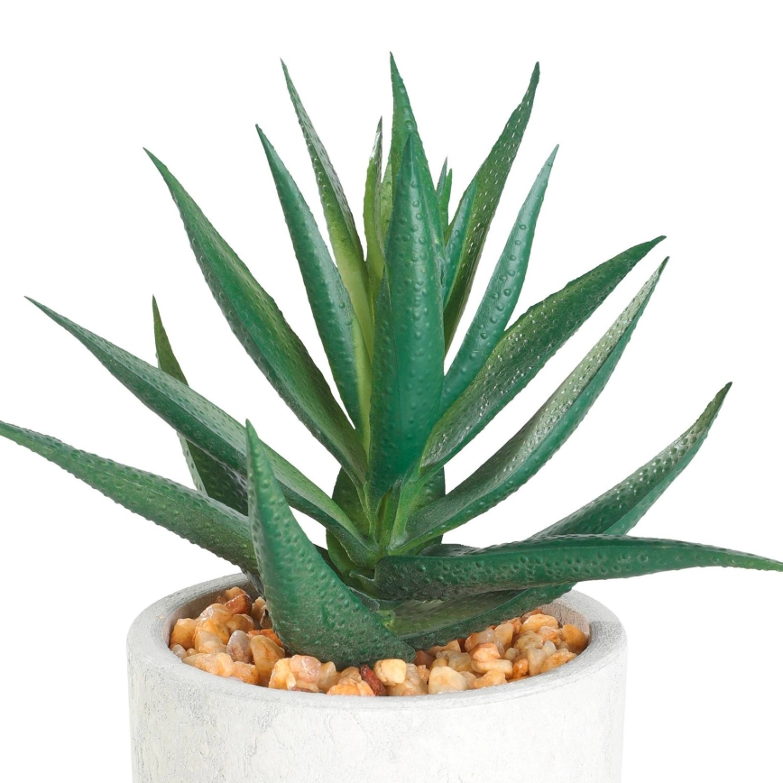 Eglo - Planta artificial en una maceta 15,5x10 cm suculento
