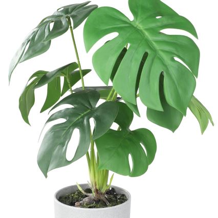 Eglo - Planta artificial en una maceta 42x30 cm monstera