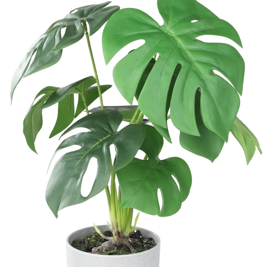Eglo - Planta artificial en una maceta 42x30 cm monstera