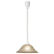 EGLO 50148 - Lámpara colgante para cocina ALBANY 1xE27/100W