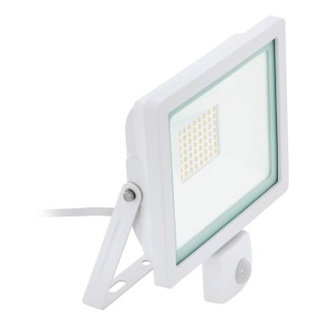 Eglo 64876 - Proyector LED con sensor FILETTI LED/30W/230V 3000K IP44 blanco