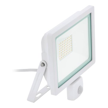 Eglo 64877 - Proyector LED con sensor FILETTI LED/50W/230V 3000K IP44 blanco