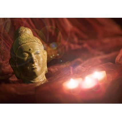 Eglo 75039 - Cuadro decorativo LED luminoso BUDDHA 3xLED/0,02W/2xAA 30x45 cm
