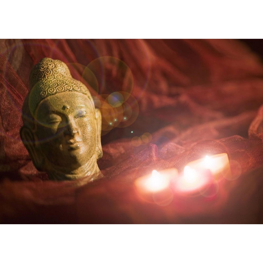 Eglo 75039 - Cuadro decorativo LED luminoso BUDDHA 3xLED/0,02W/2xAA 30x45 cm